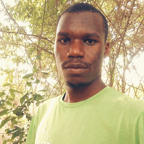 Dennis K. profile photo