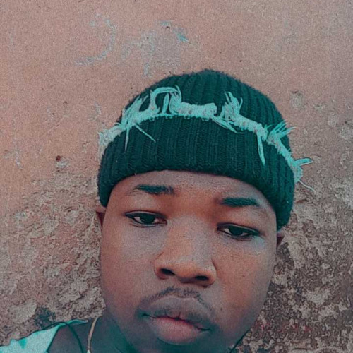 Victor N. profile photo