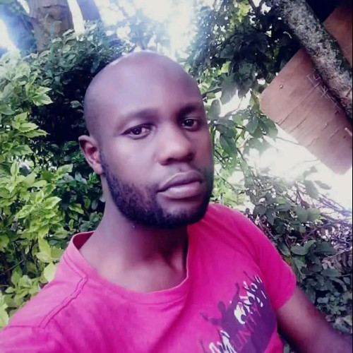 Davis S. profile photo