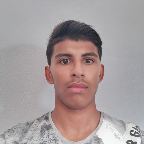 Fadi D.