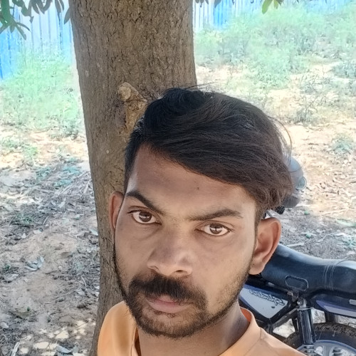 Dhana  J. profile photo