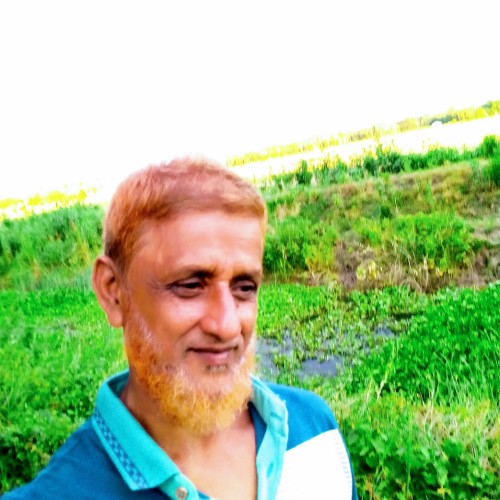 Kazi Jahangir N. profile photo