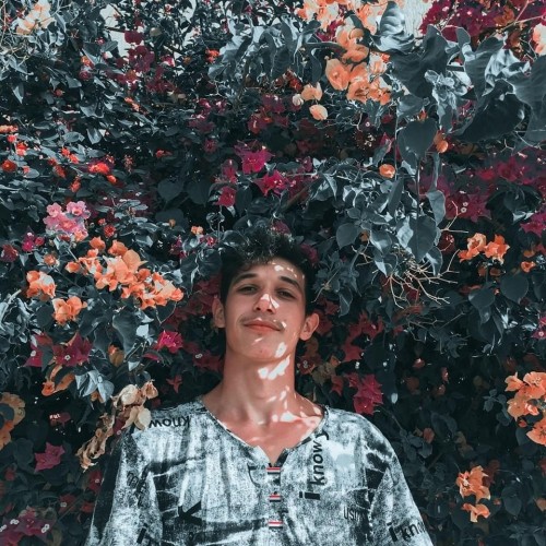 Amine A. profile photo