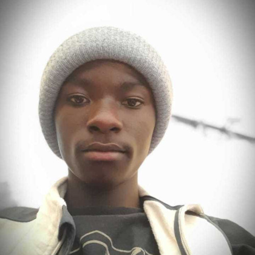 Felix M. profile photo