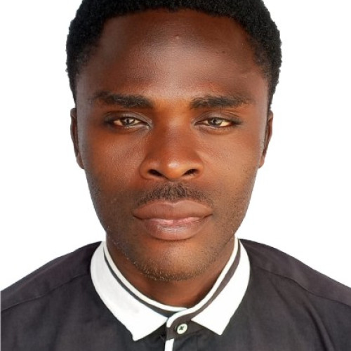 Oluwatosin O. profile photo