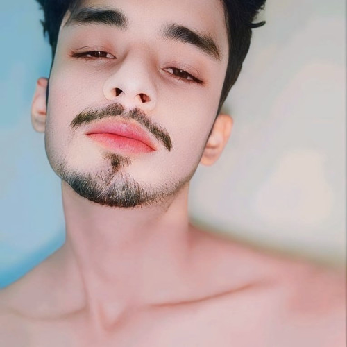 Taukir  S. profile photo