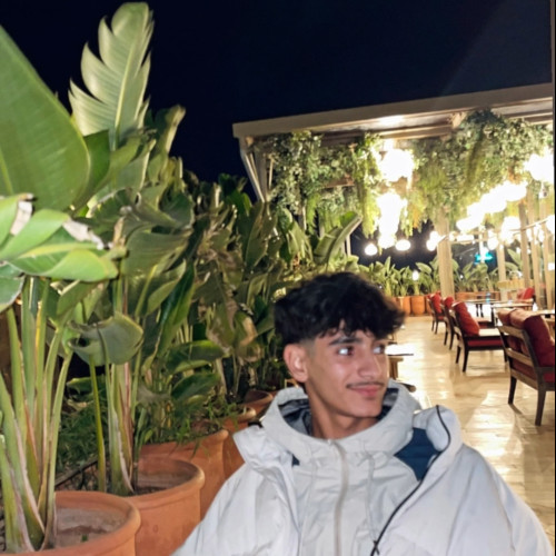 Elfadili  N. profile photo