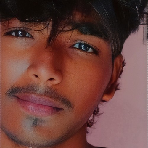 Praveen P. profile photo