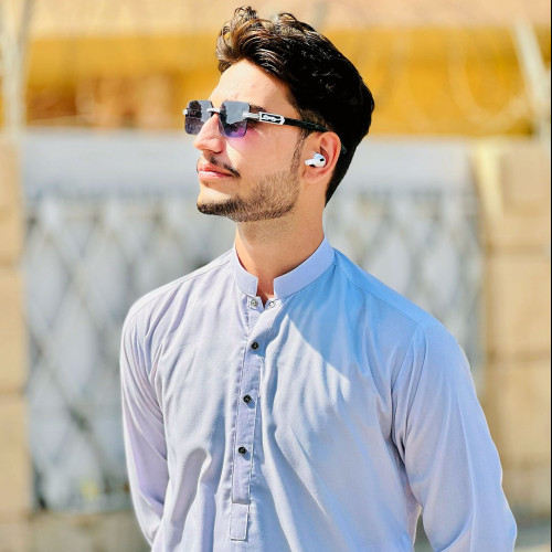 Arslan  L. profile photo
