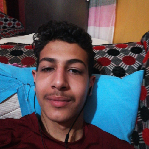 Mostafa G. profile photo