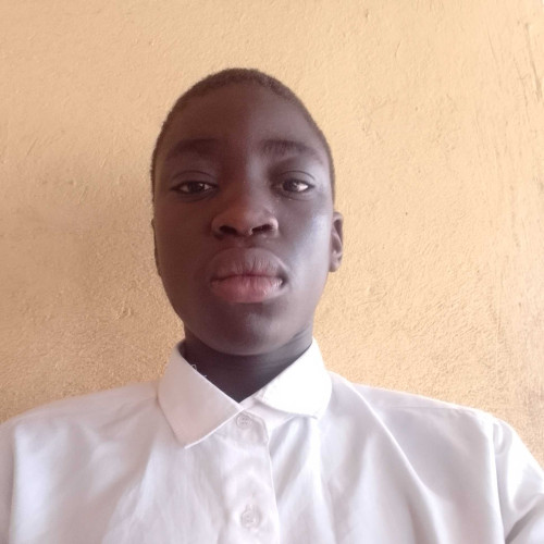 Daniel D. profile photo