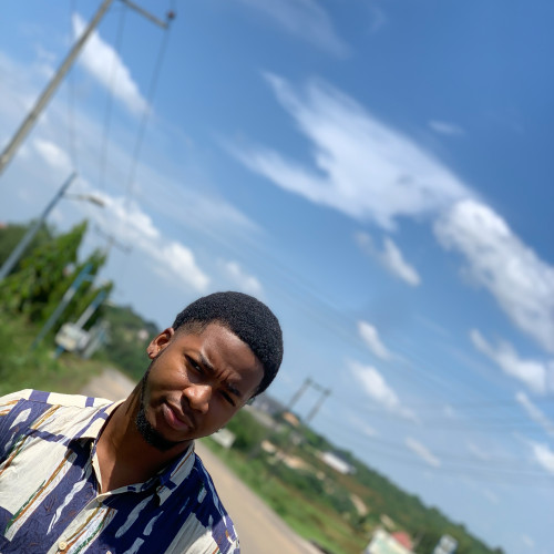 Tobechukwu O. profile photo