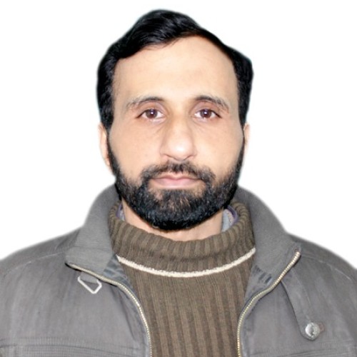 Shahzad N.