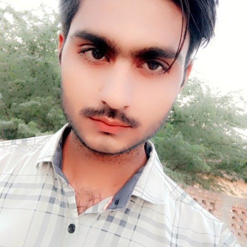 Raman V.