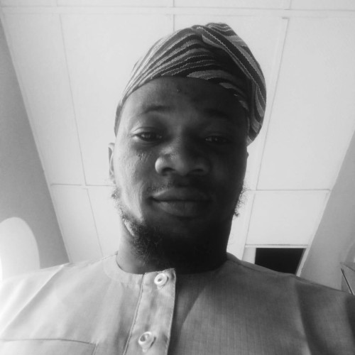 Temidayo  H. profile photo