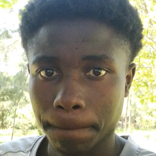 Lee A. profile photo