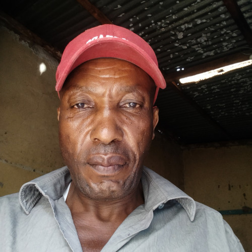 Francis N. profile photo