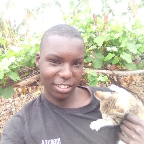 Kuzivakwashe M.