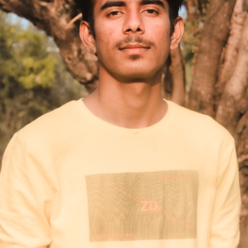 Hussain Abbas  S.