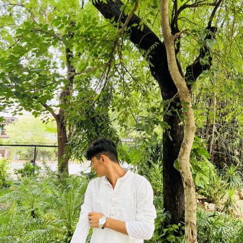 Divyaraj C. profile photo