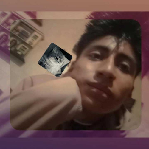 Armando F. profile photo
