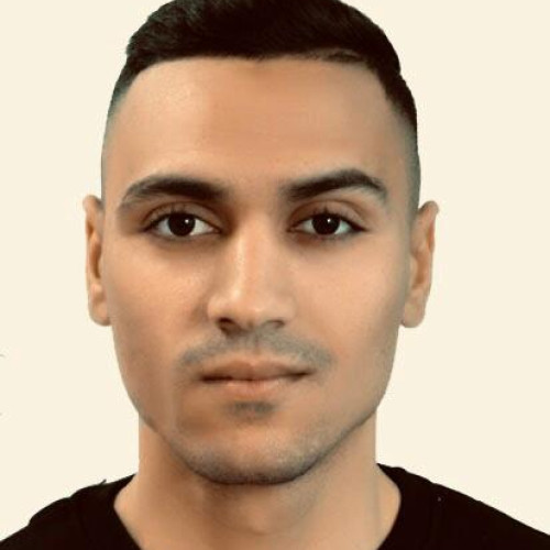 jamaleddine r.