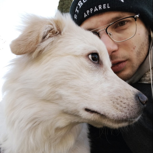 Alessandro D. profile photo