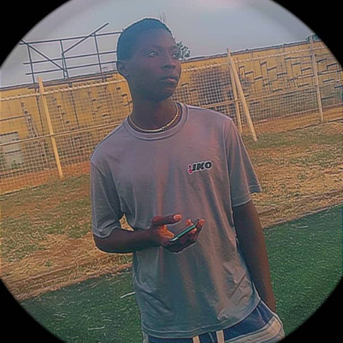prinz s.