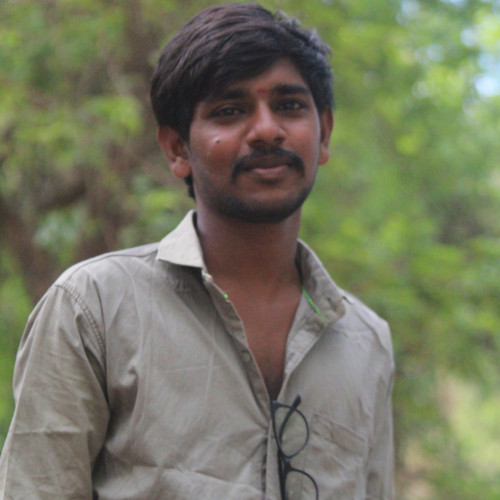 Guttula G.
