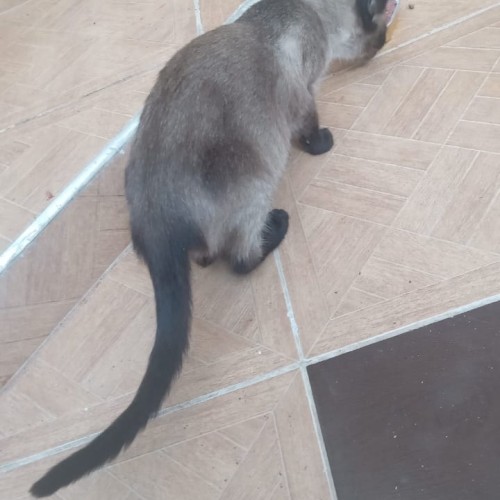 Davis B. profile photo