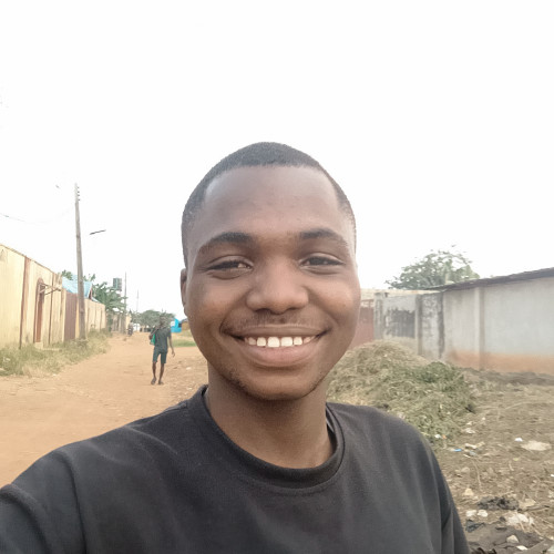 Olanrewaju Arapasowu A. profile photo
