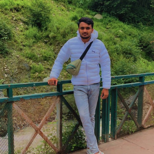 Sidhant T.