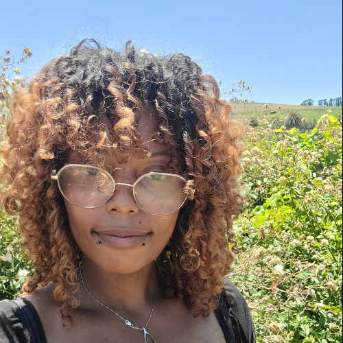 Lee K. profile photo