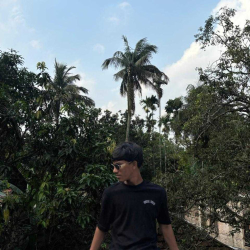 MOHAMAD A. profile photo