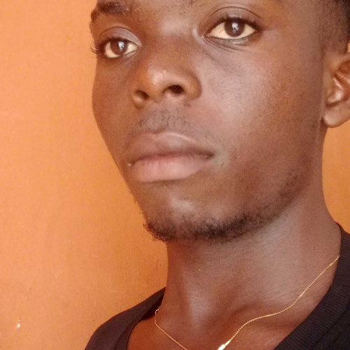 Dominic l. profile photo