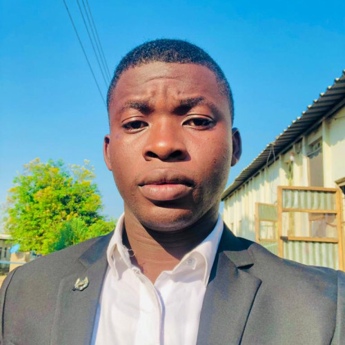 Adesina  N. profile photo