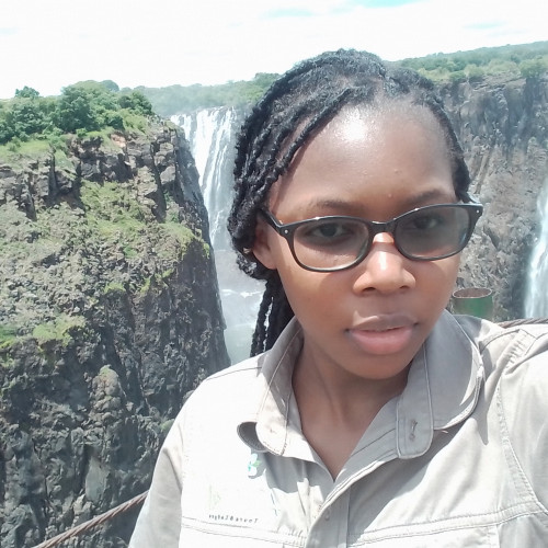 Chidochashe T  M.
