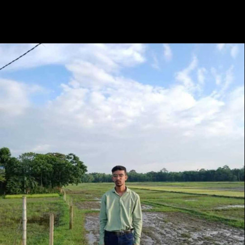 Debasish N.
