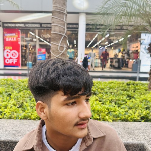 Kartik G.