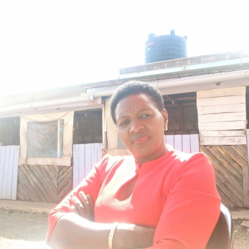 Martha K. profile photo