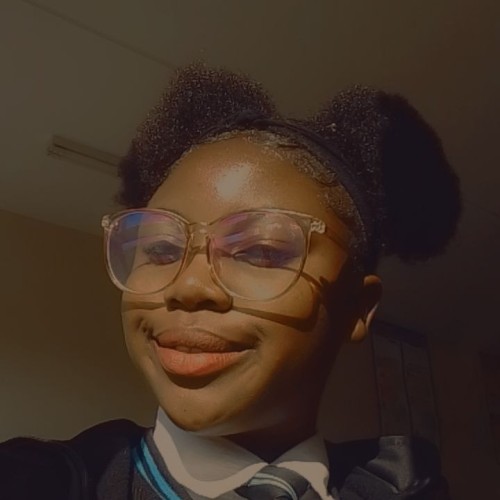 Cherub  N. profile photo