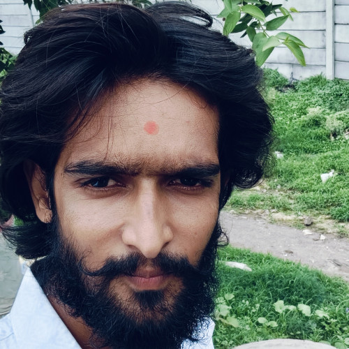 Mehul M. profile photo