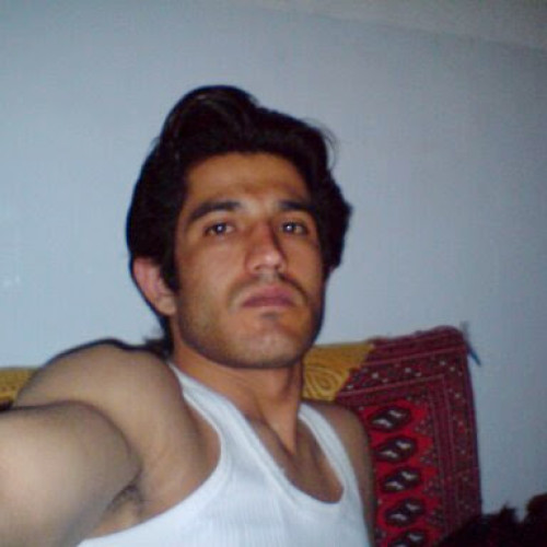 mohammad z. profile photo