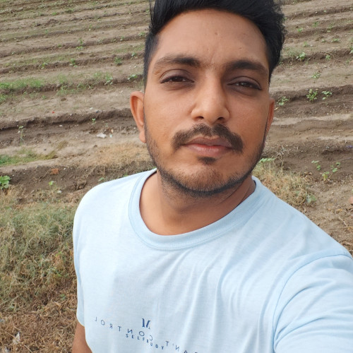Vivek P.