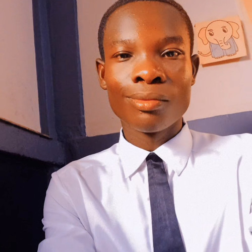 Wisdom A. profile photo