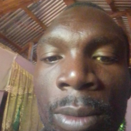 Mesh N. profile photo