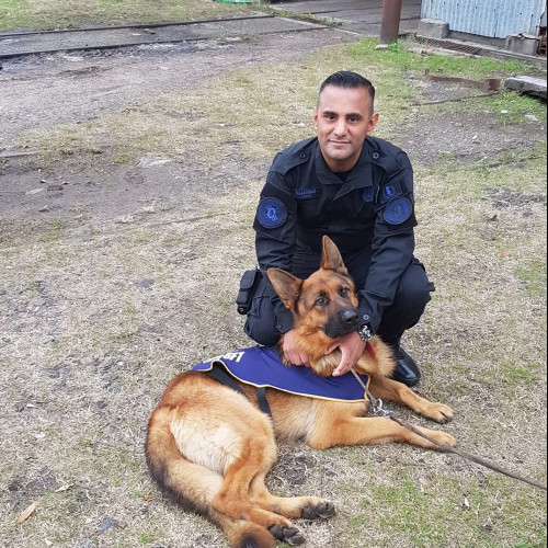 Diego A. profile photo