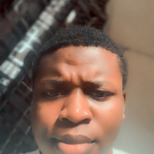 Olawale M. profile photo