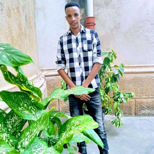 paskali l. profile photo