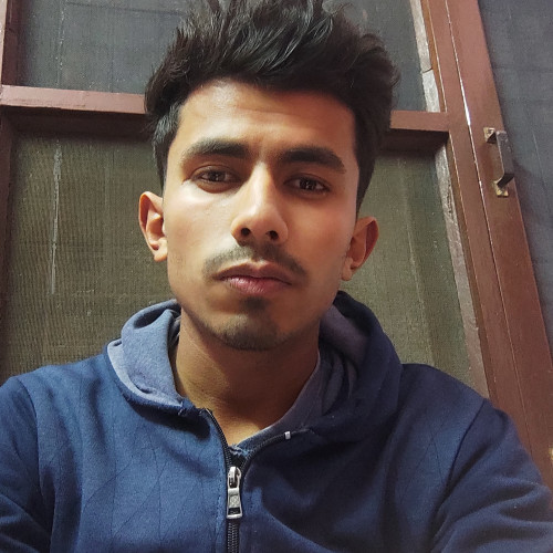 Pranshu D.